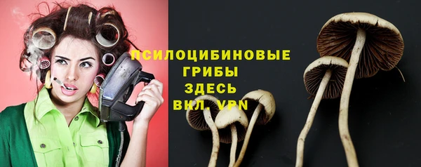 эйфоретик Баксан