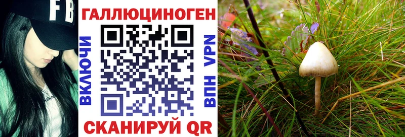 Псилоцибиновые грибы ЛСД Тырныауз
